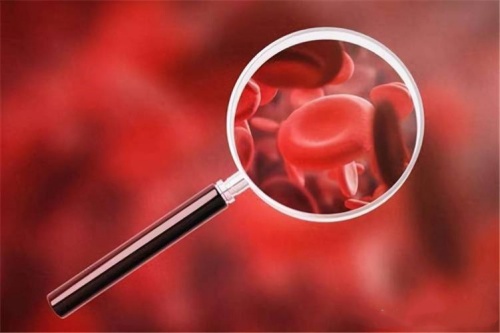 Why Folate Deficiency Causes Anemia