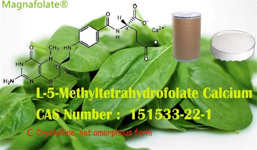 L-5-Methyltetrahydrofolate VS folic acid