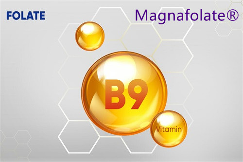 b9-vitamin_folate