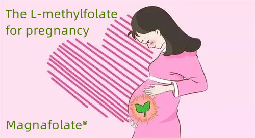 The L-methylfolate for pregnancy