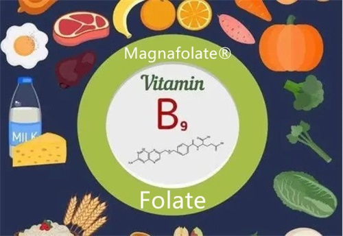 folate and folic acid