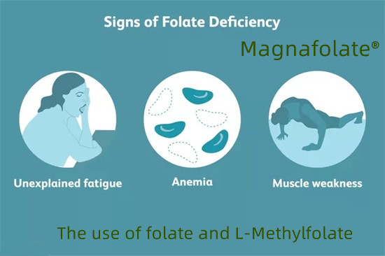 The use of folate and L-metil-folát