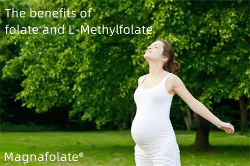 Health benefits of folate and L-Methylfolate