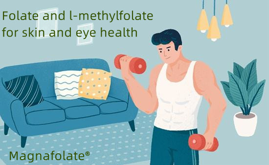 Folate and l-methylfolate for skin and eye health