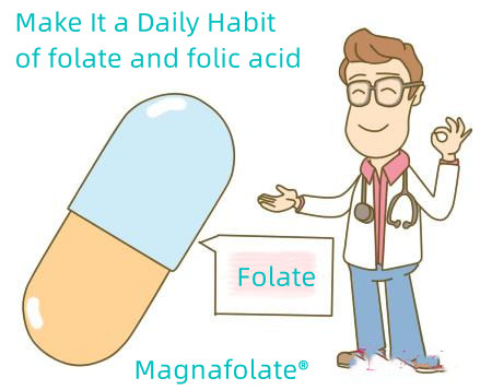 Make a Daily Habit of eat folate