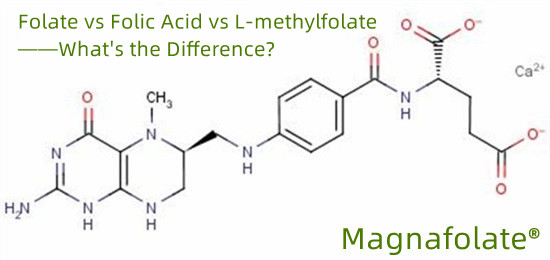 Folate vs Folic Acid vs L-methylfolate