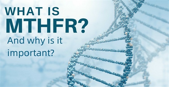 What is MTHFR and why is it important