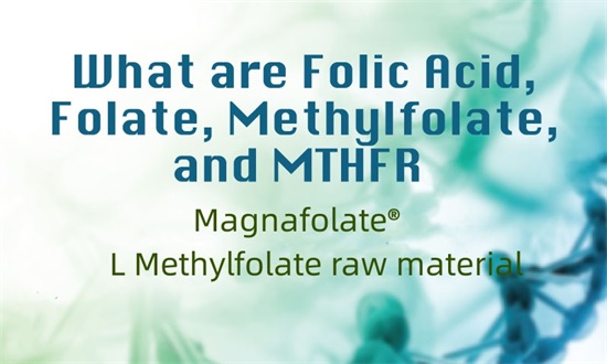 What are folic acid,folate,methylfolate and MTHFR