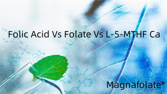 Folic Acid Vs Folate Vs L-5-MTHF Ca