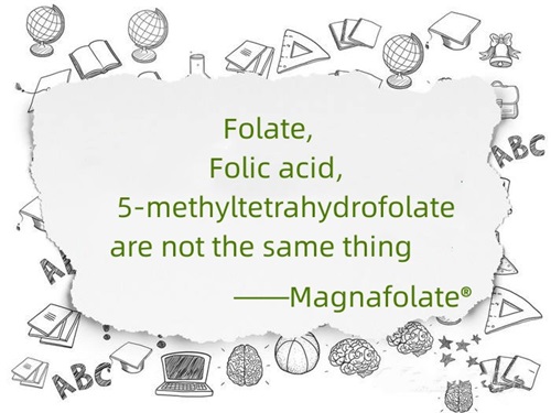 Folate,folic acid and 5-methyltetrahydrofolate are not the same thing