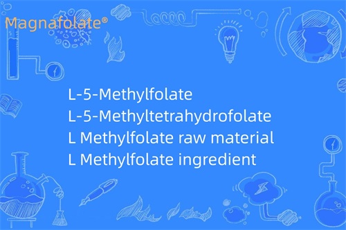 What does L Methylfolate do