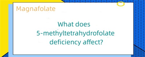 What does 5-methyltetrahydrofolate deficiency affect