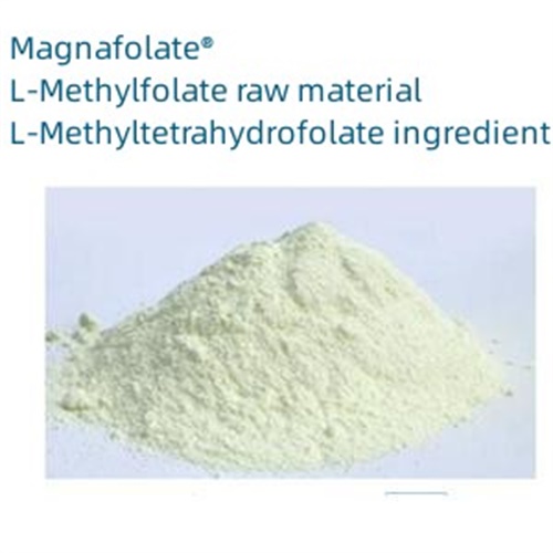 L-5-methyltetrahydrofolate 151533-22-1