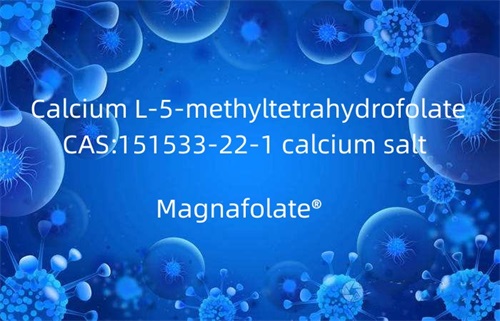 Calcium L-5-methyltetrahydrofolate 151533-22-1 calcium salt