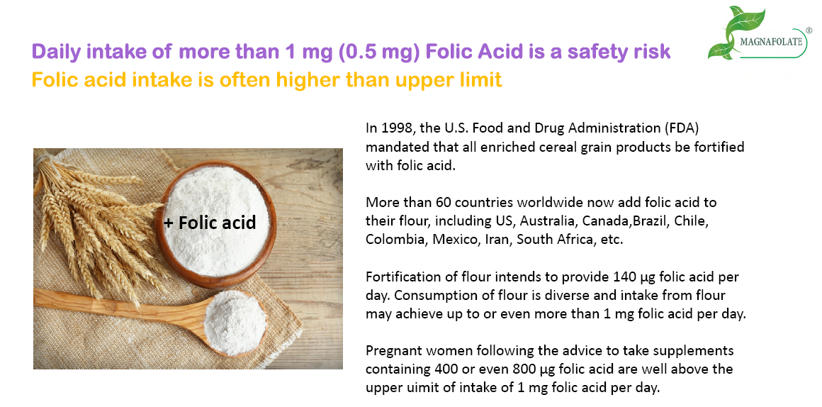 Daily intake of Folic acid is a safety risk