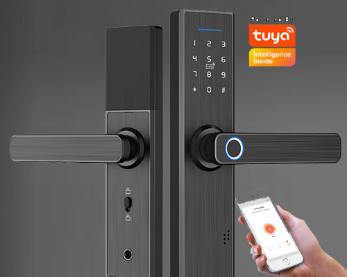 How can I purchase the most cost-effective smart door lock? 