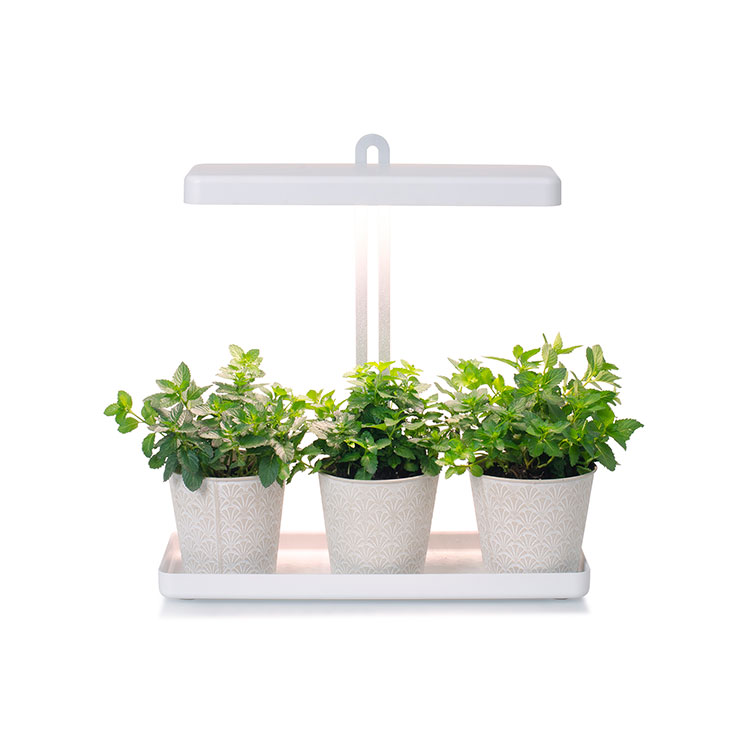 Plant Grow Light 20W