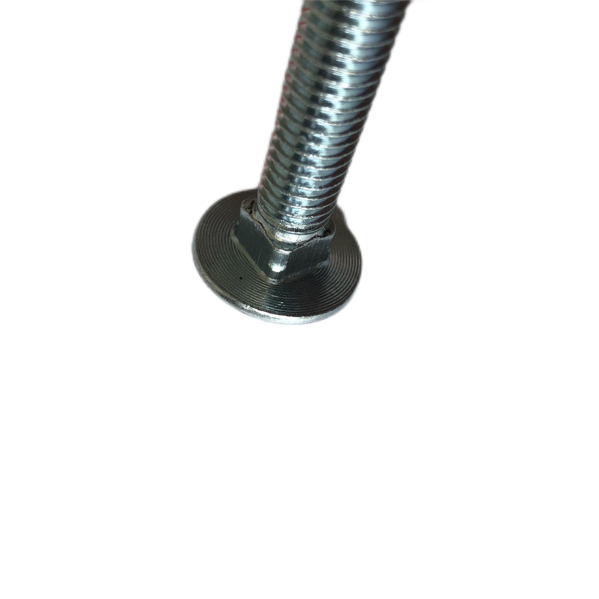 Carriage bolts galvanized DIN603 - 1