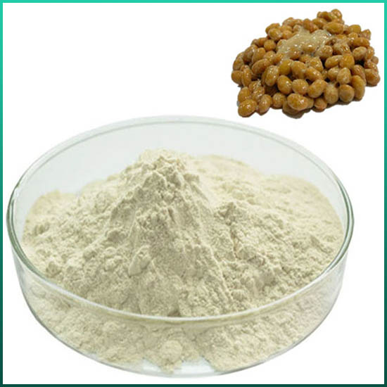 Detailed introduction of Enzyme Preparation