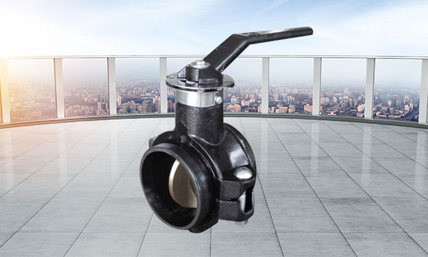 Features of butterfly valve