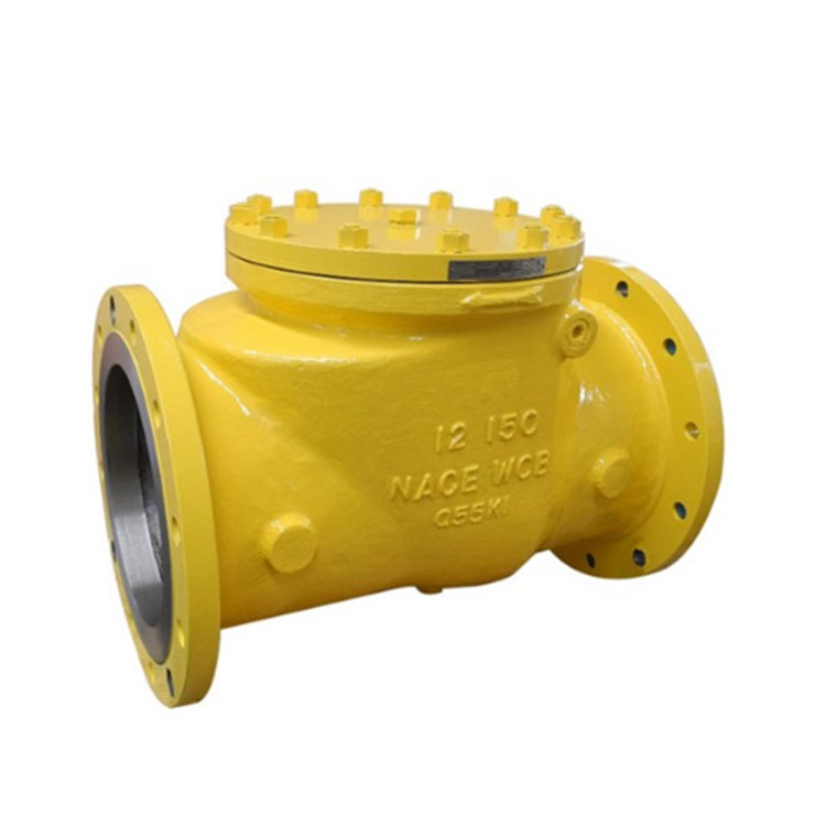 Cast Steel Flanged Check Valve Class 150 #
