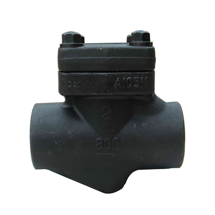 Forged Lift Check Valve Class 800#