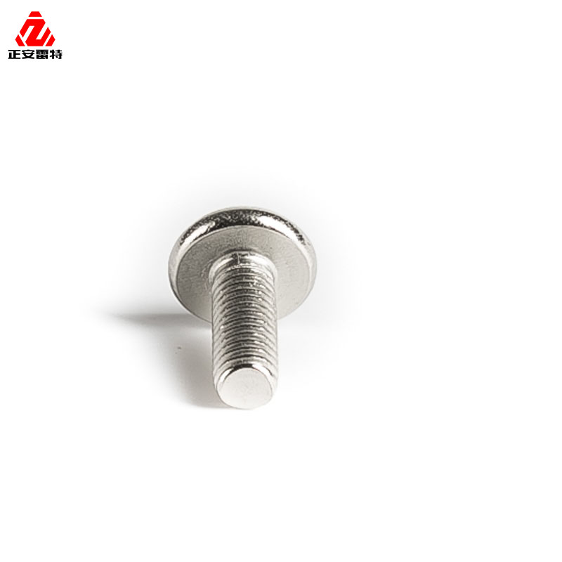 Slotted Cylindrical Head Screw