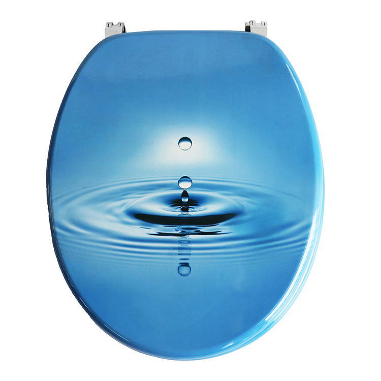 What are the advantages and disadvantages of a modern toilet seat?