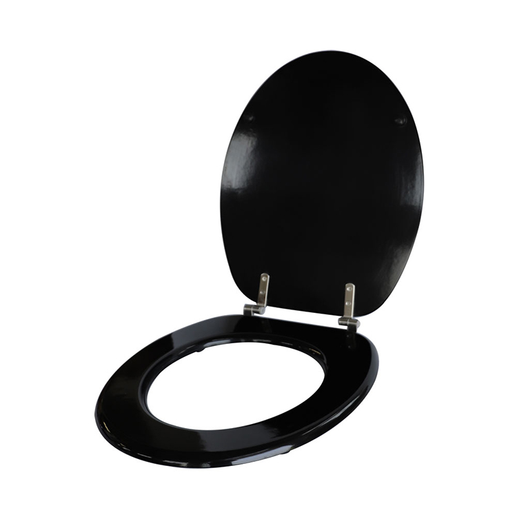 Black Toilet Seat - 2