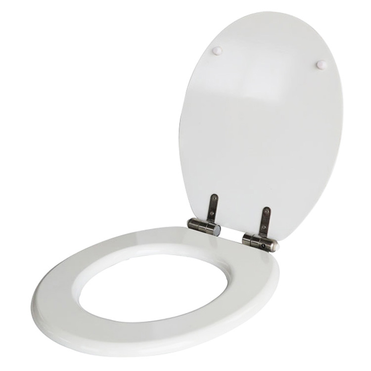Mould Wood Toilet Seat - 4