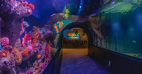 Akvariumo tunelis.