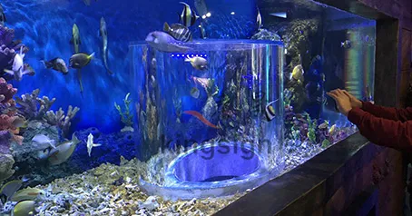 Projekt akvária oceánu podsvětí Wuxi.