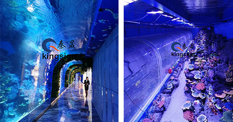 Projekt tunelu oceánského akvária.