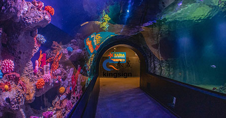 โครงการพิพิธภัณฑ์สัตว์น้ำในมหาสมุทร