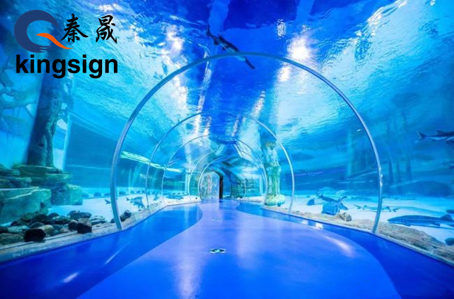 Az akril víz alatti alagút elvezet a víz alatti világ élvezetéhez