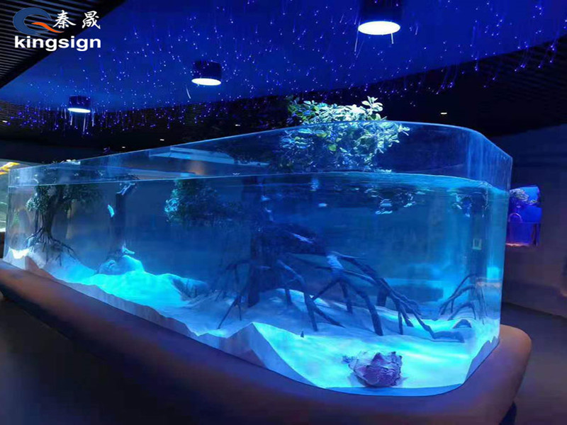 How to choose a good aquarium tank