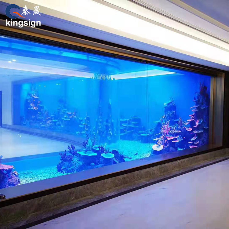 aquarium windows