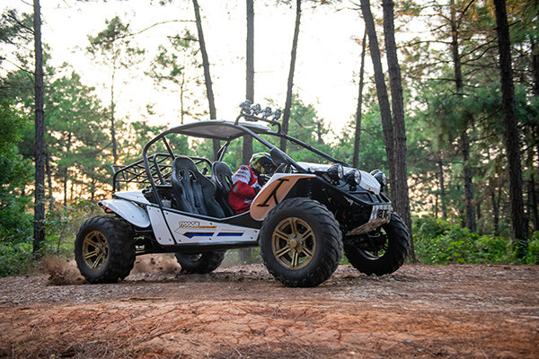 The farmer's car is abbreviated as UTV, which is suitable for various functions such as beach, off-road mountainous cargo farm operations!
