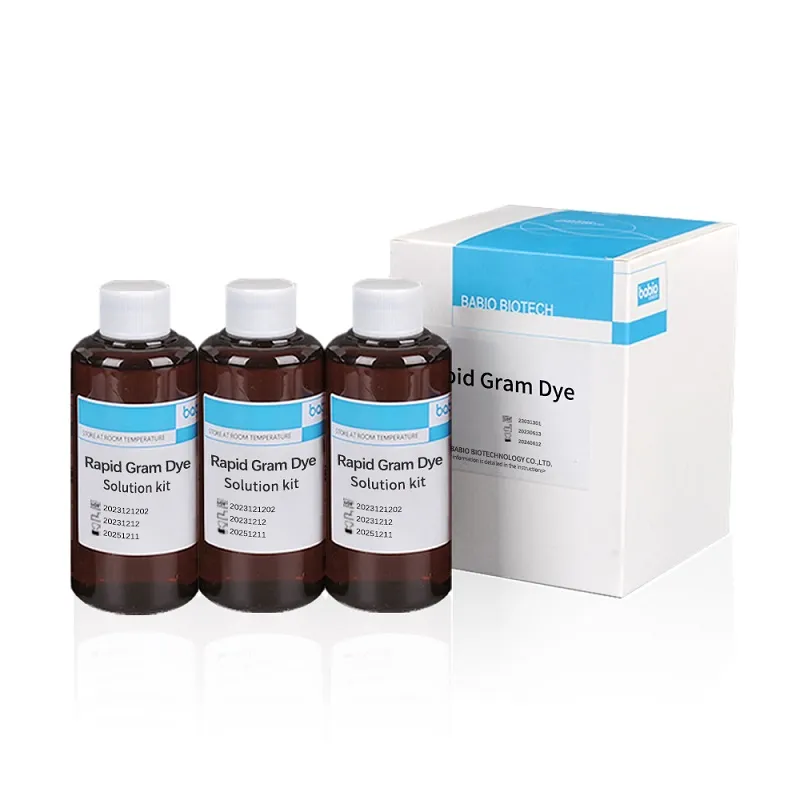 Rapid Gram Dye Solution kit