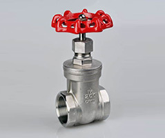 What are the stainless steel valves.
