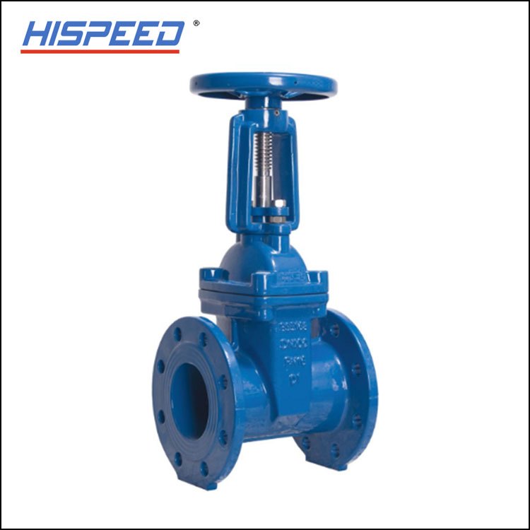 300PSI Rising Stem Resilient-Seated (OS and Y) Ductile Iron Gate Valve