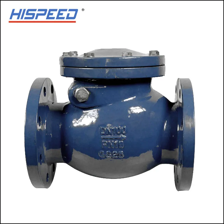 Cast Iron Swing Check Valve