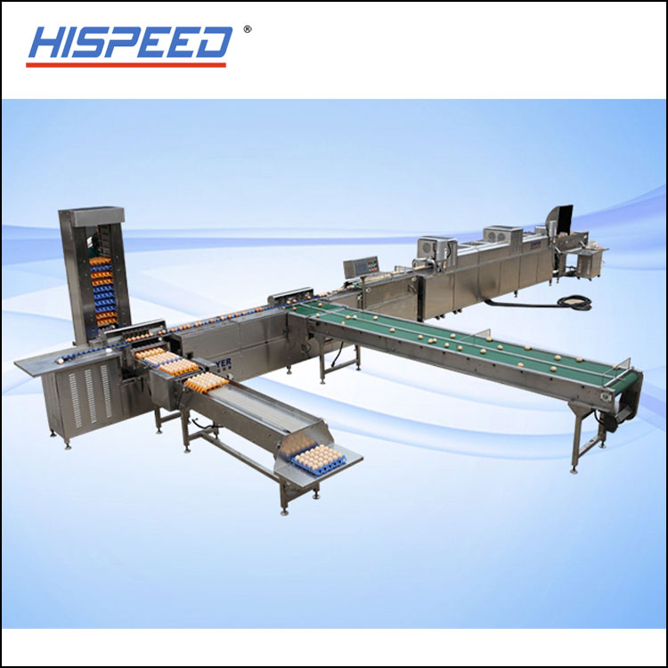 Egg Processing Lines