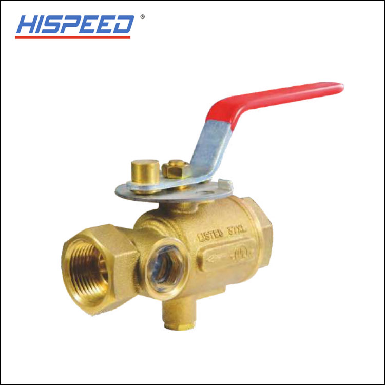 Test and Drain Valve