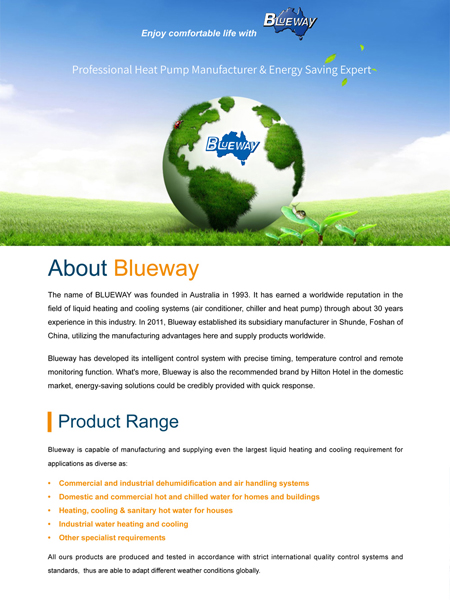 Blueway Company Introduction