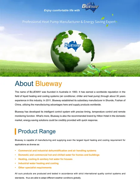 Blueway Company Introduction