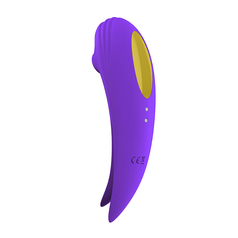 Mangetic Rechargeable Vibe With Suction Functions