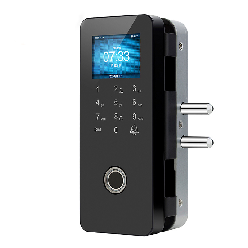 Fingerprint Door Lock Optional Remote controller