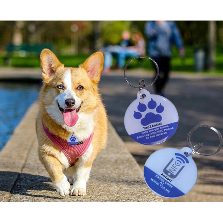 Epoxy Name Tag Nfc Card Smart Tag Id pro Dog Cat Keyfob Keychain cum Qr