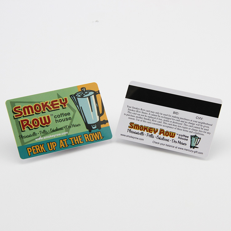 Plastic Printing Dual-postlines Pvc Cards with Magnetic literature